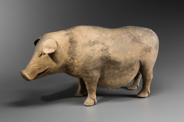 Earthenware pig